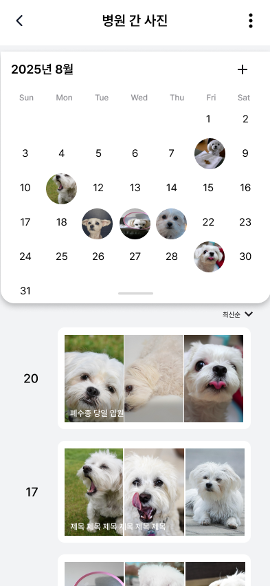 사진 타입 스크린샷